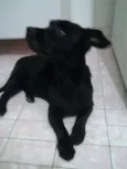 ?