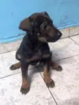 não tem nome