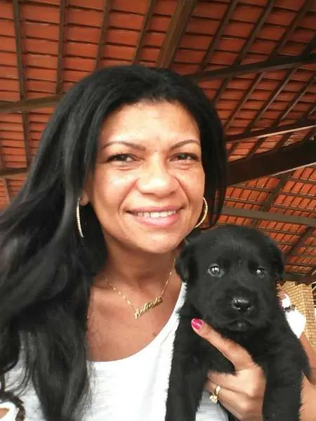 Cachorro ra a Labrador idade 2 a 6 meses nome Filhotes de labrador