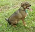 Beni - um menino fofo!