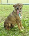 Beni - um menino fofo!
