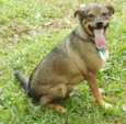 Beni - um menino fofo!