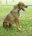 Beni - um menino fofo!