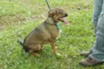 Beni - um menino fofo!