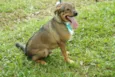 Beni - um menino fofo!