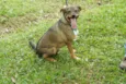 Beni - um menino fofo!