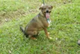 Beni - um menino fofo!