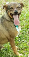 Beni - um menino fofo!