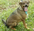 Beni - um menino fofo!