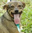 Beni - um menino fofo!