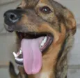 Beni - um menino fofo!