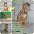 Beni - um menino fofo!