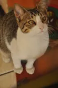 Melvin