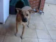 "Thor"ta de Caramelo