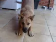 "Thor"ta de Caramelo