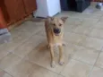 "Thor"ta de Caramelo
