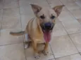 "Thor"ta de Caramelo