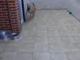 "Thor"ta de Caramelo