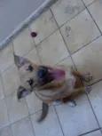 "Thor"ta de Caramelo