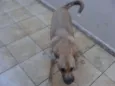 "Thor"ta de Caramelo