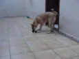 "Thor"ta de Caramelo