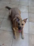 "Thor"ta de Caramelo
