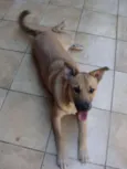 "Thor"ta de Caramelo