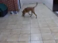 "Thor"ta de Caramelo