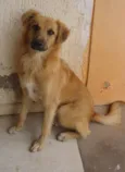 Mocinha