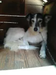 Nina