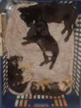 ?