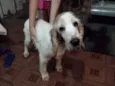 Boris