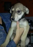 Máscara
