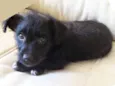 tuti
