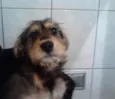 Sem Nome