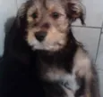 Sem Nome