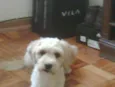 Milca