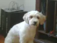 Milca