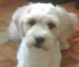 Milca