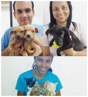 Cachorro raça DV idade  nome Vários