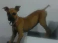 Kate