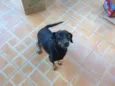 Pretona