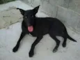 Preta