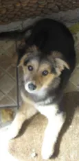 Sophie