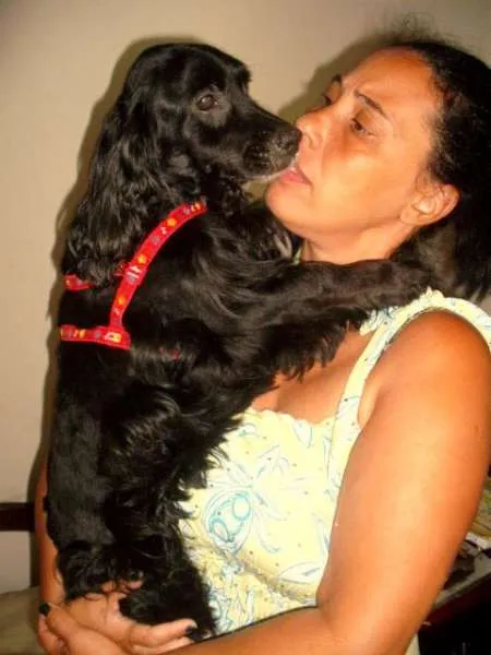 Cachorro ra a Cocker idade  nome Lupy