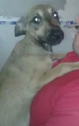 Dinho
