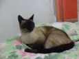 Tom