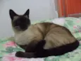 Tom