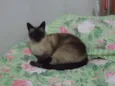 Tom