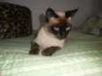 Tom